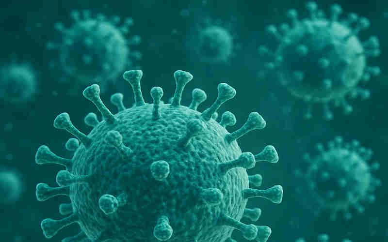 Virus espirituales, parásitos psíquicos, imagen de virus tomada por microscopio electrónico.