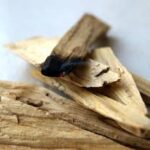 palosanto