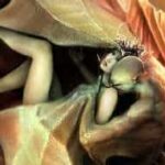 relacion-vampiro1-255