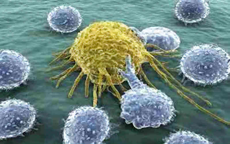 Mecanismos de defensa ante la infección espiritual